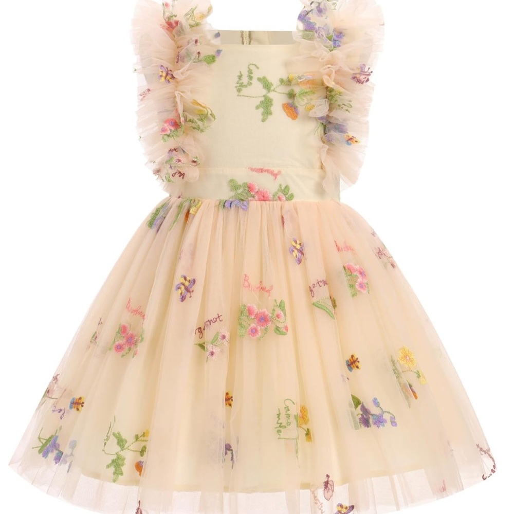 Floral Embroidered Dress with Tulle Skirt